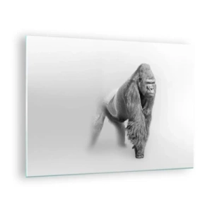 Billede på glas - Sort-hvidt portræt af en majestætisk gorilla mod en hvid baggrund - 70x50cm - Selvsikker på sin styrke - Moderne vægdekoration til stue og soveværelse ARTTOR