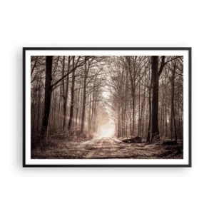 Plakat i sort ramme - Skovkatedralen - 100x70 cm