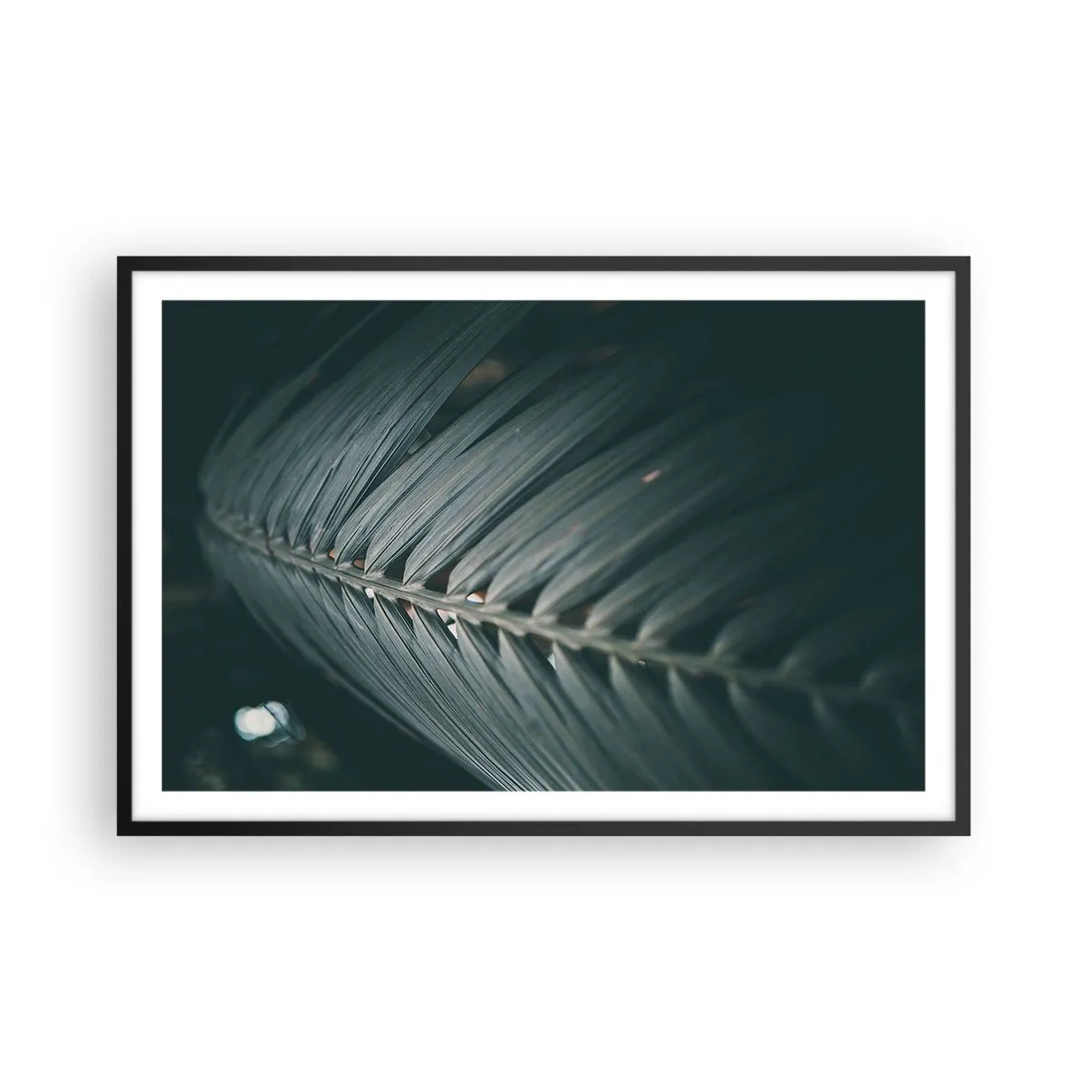 Plakat i sort ramme - Naturens præcision - 91x61 cm