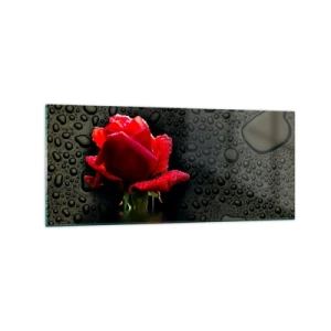 Billede på glas - Rød og sort - 120x50 cm