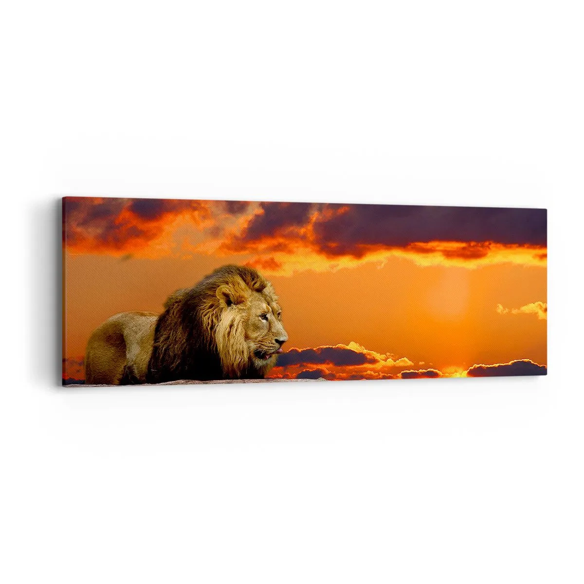 Lærredstryk - Billede på lærred - Naturens konge - 90x30 cm