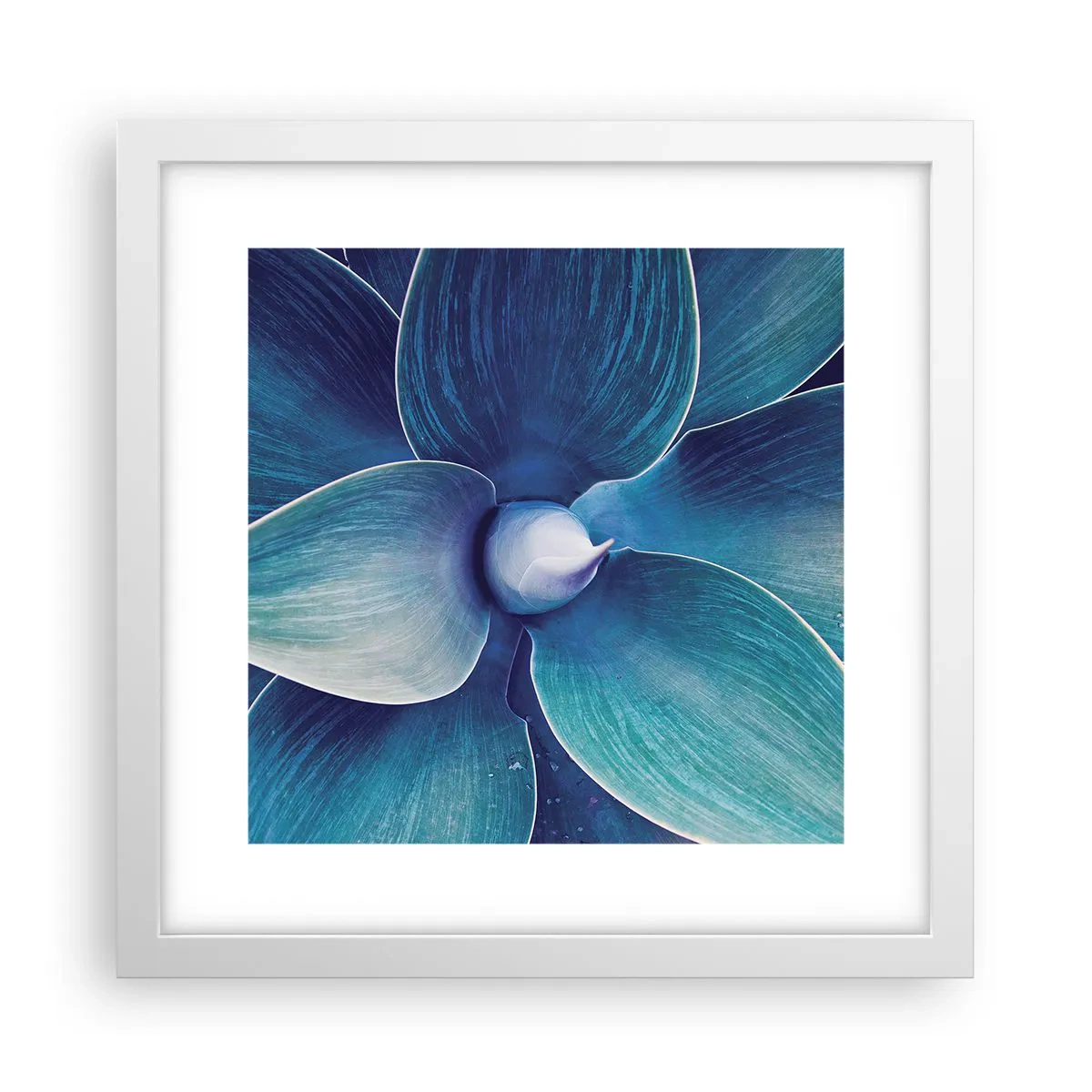 Plakat i hvid ramme - Blå fra himlen - 30x30 cm