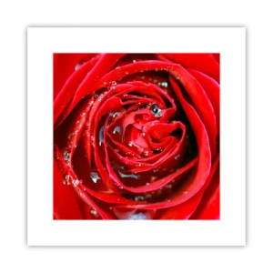 Plakat - I dråber af dug - 30x30 cm