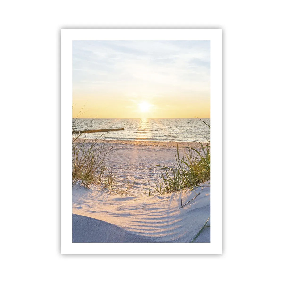 Plakat - Havet brummer, fuglene synger, en vild strand midt i græsset.... - 50x70 cm