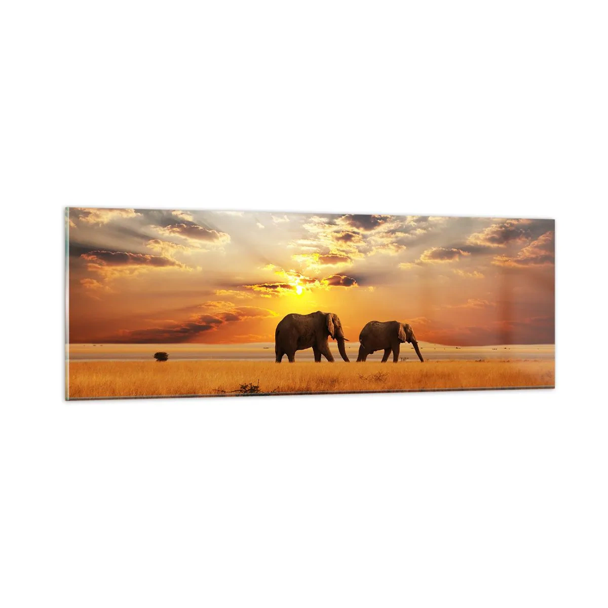 Billede på glas - Familievandring - 90x30 cm