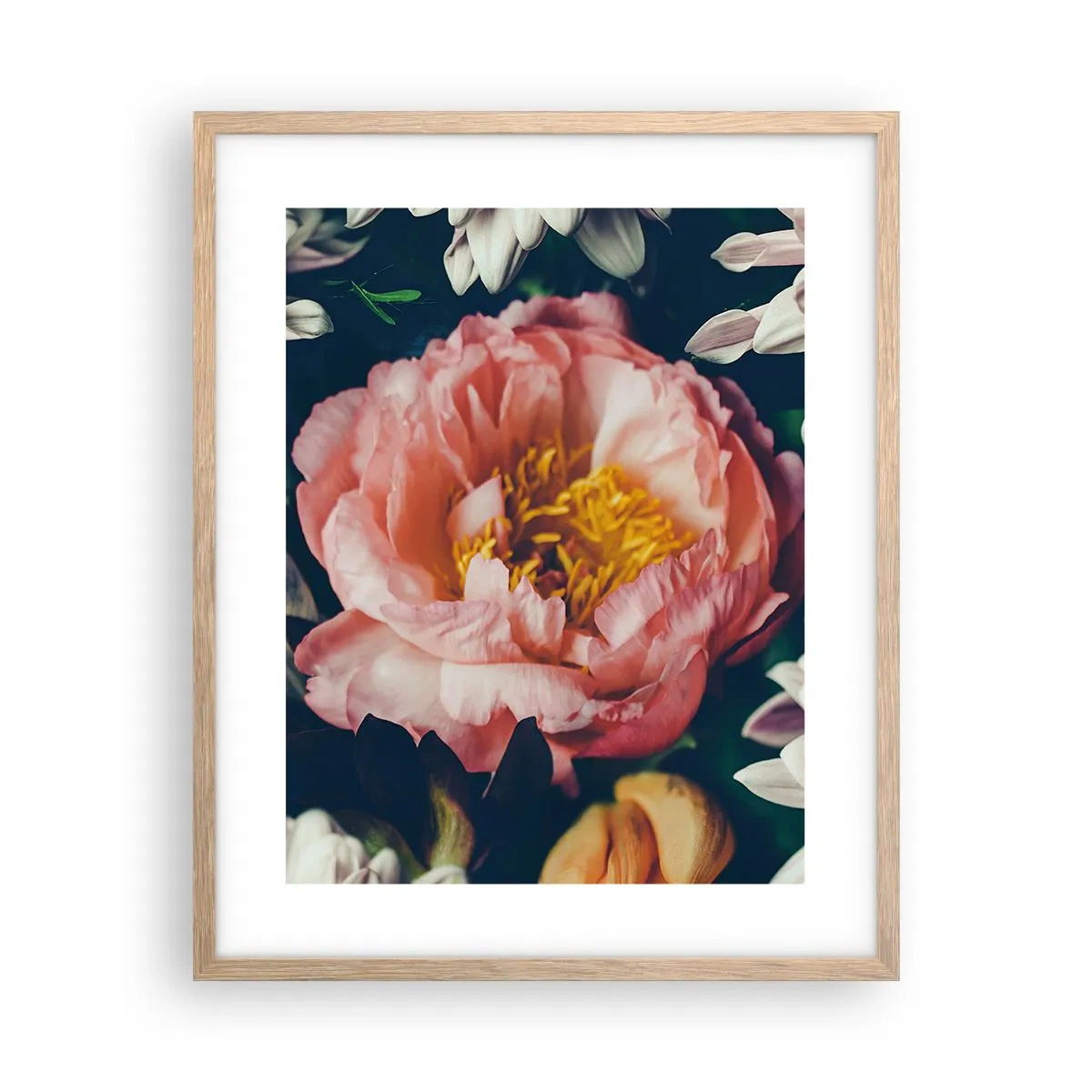 Plakat i ramme af lyst egetræ - Med barok pragt - 40x50 cm