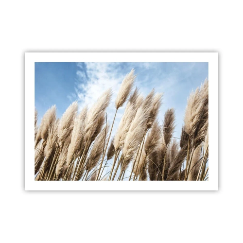 Plakat - Solrig og blæsende kærtegn - 70x50 cm