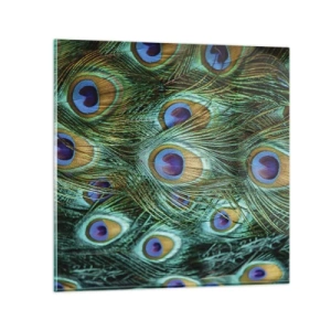 Billede på glas - En påfugls blik - 30x30 cm