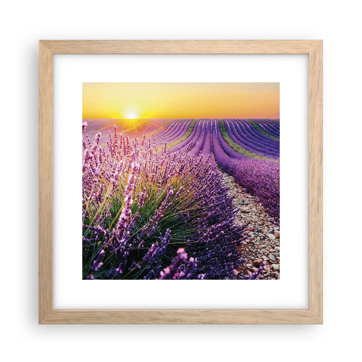 Plakat i ramme af lyst egetræ - Duftende plet - 30x30 cm