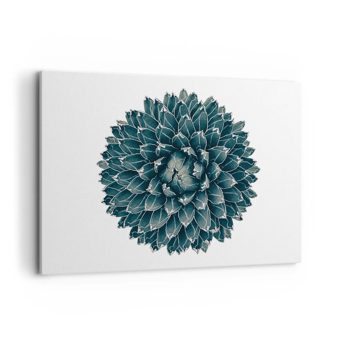 Lærredstryk - Billede på lærred - Ørkenstjerne - 100x70 cm