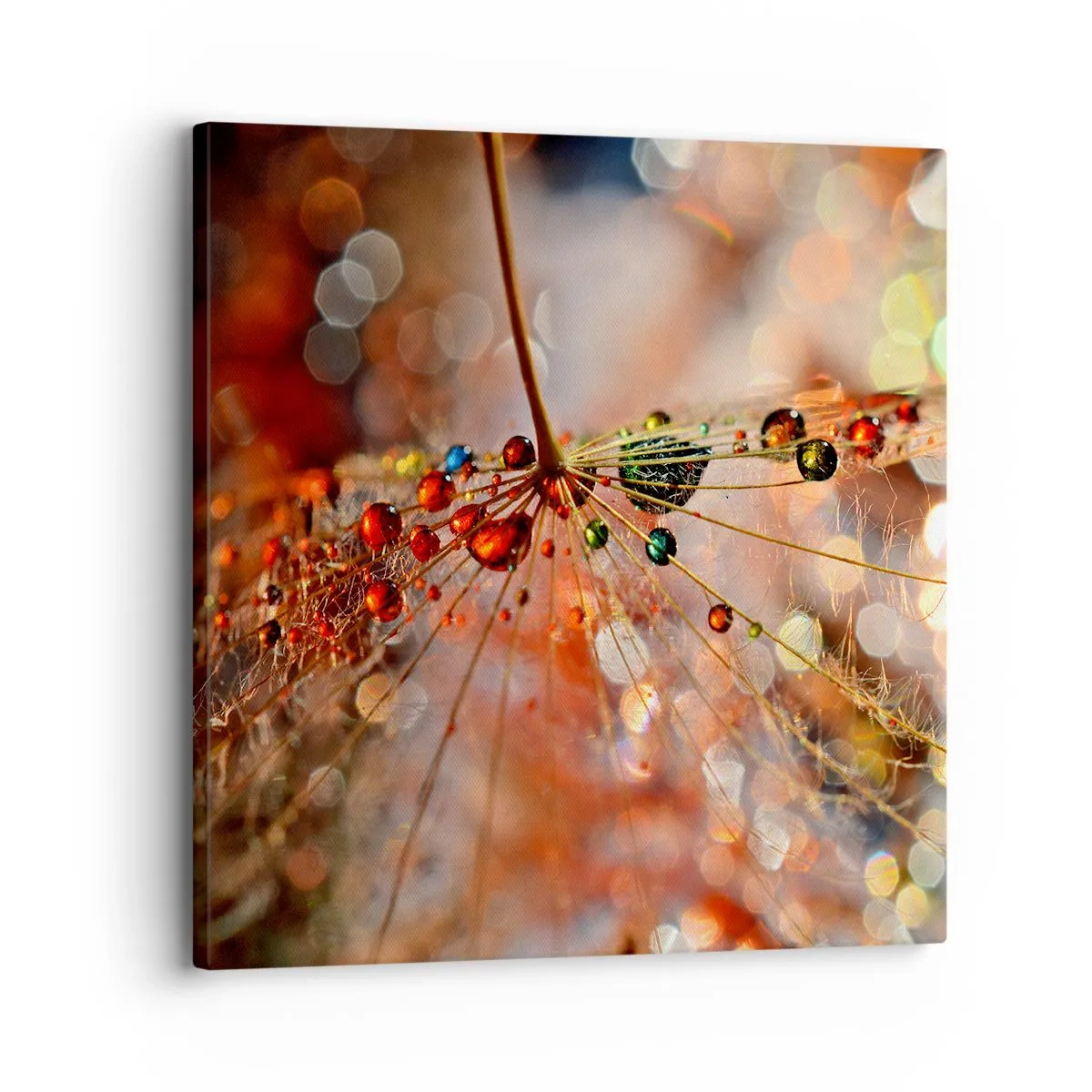 Lærredstryk - Billede på lærred - Trådet på et edderkoppespind - 30x30 cm