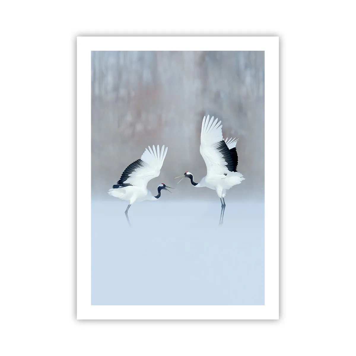 Plakat - Danser i tågen - 50x70 cm