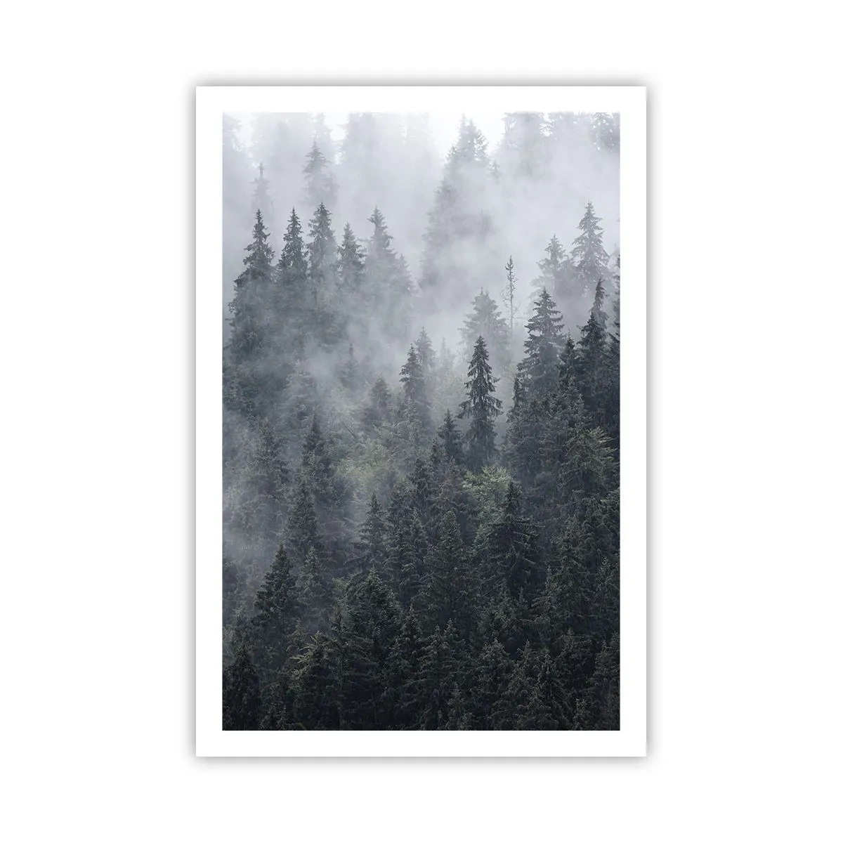 Plakat - Skovens daggry - 61x91 cm