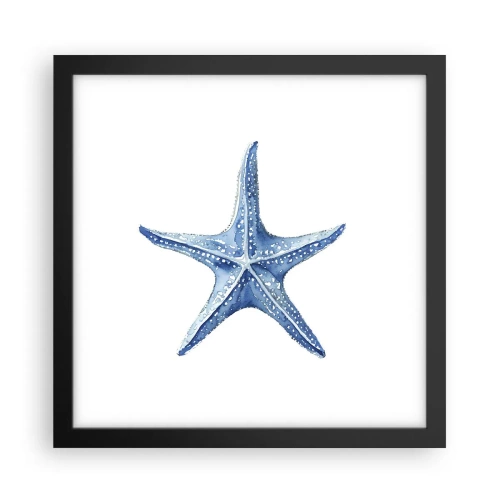Plakat i sort ramme - Havets stjerne - 30x30 cm
