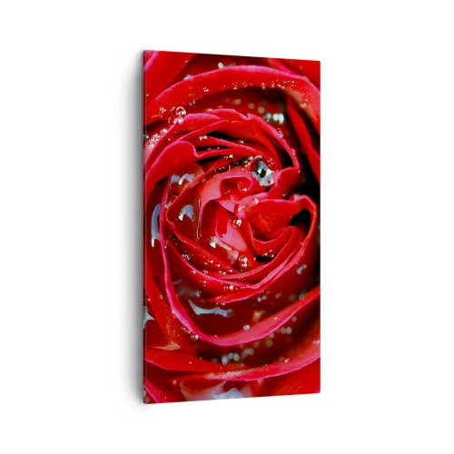 Lærredstryk - Billede på lærred - I dråber af dug - 45x80 cm