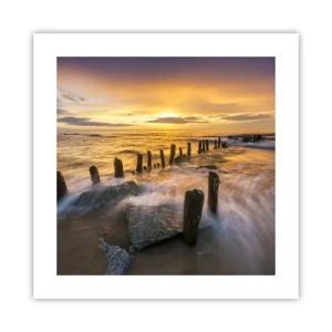 Plakat - Østersøens rå skønhed - 40x40 cm