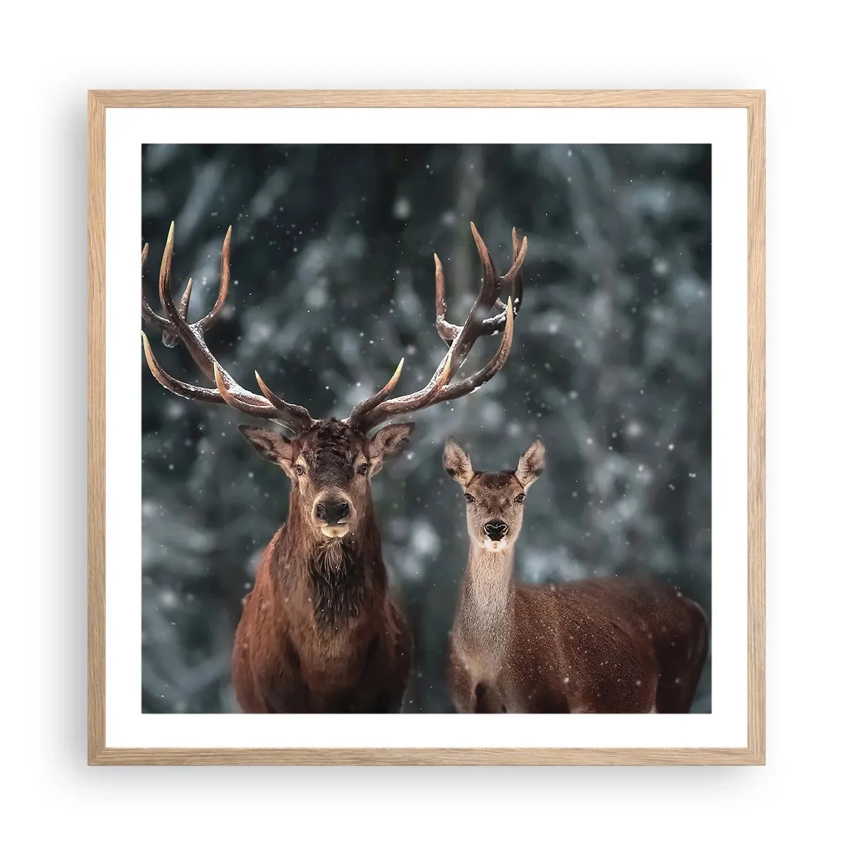 Plakat i ramme af lyst egetræ - Skovens herre og hans kone - 60x60 cm