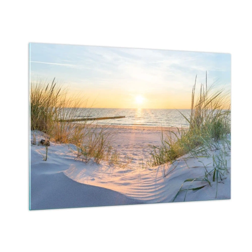 Billede på glas - Havet brummer, fuglene synger, en vild strand midt i græsset.... - 100x70 cm