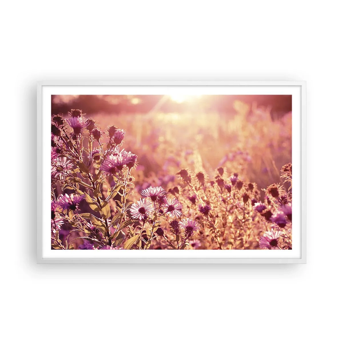 Plakat i hvid ramme - Før sommeren er forbi - 91x61 cm