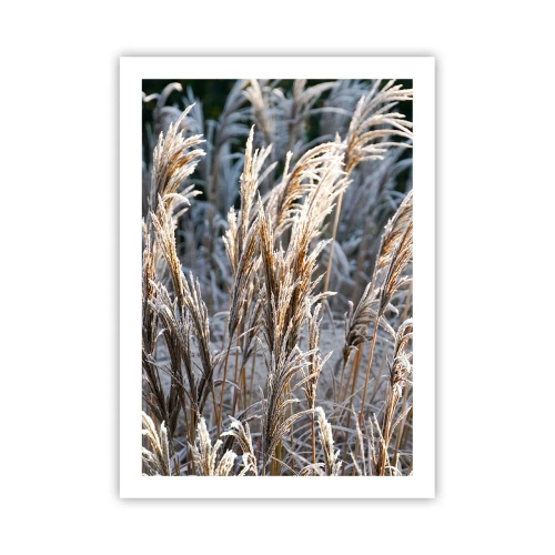 Plakat - Pyntet med frost - 50x70 cm
