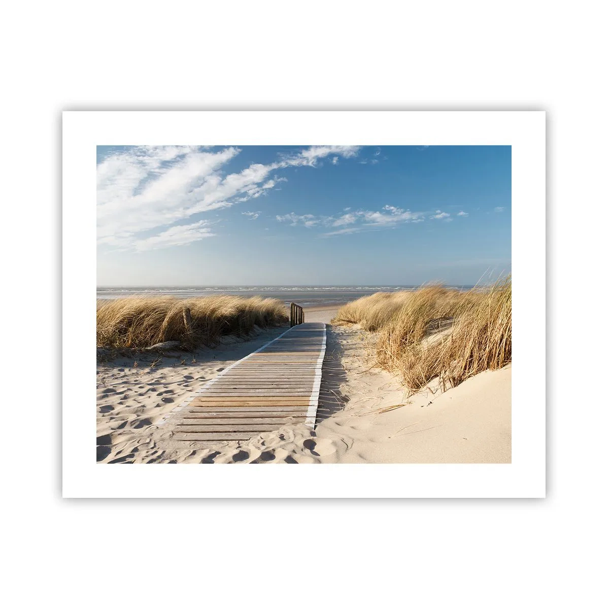 Plakat - Bag klitten, i græssets summen - 50x40 cm