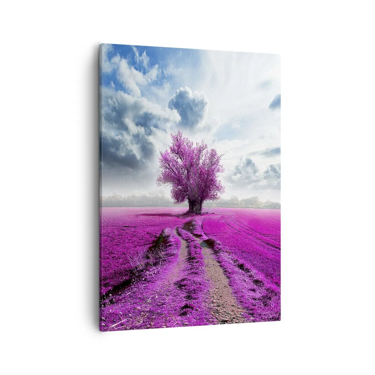 Lærredstryk - Billede på lærred - Hedeslette - charmerende - 50x70 cm