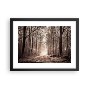 Plakat i sort ramme - Skovkatedralen - 40x30 cm