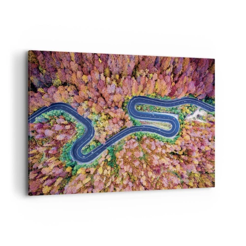 Lærredstryk - Billede på lærred - En snoet vej gennem skoven - 120x80 cm