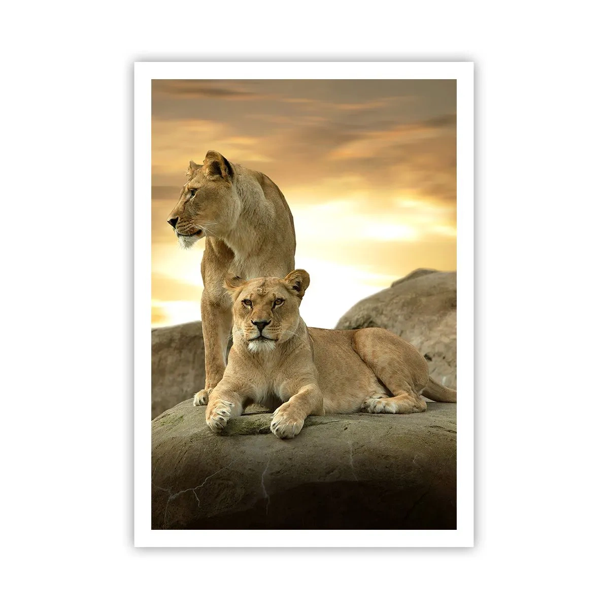 Plakat - Kongelig majestæt - 70x100 cm