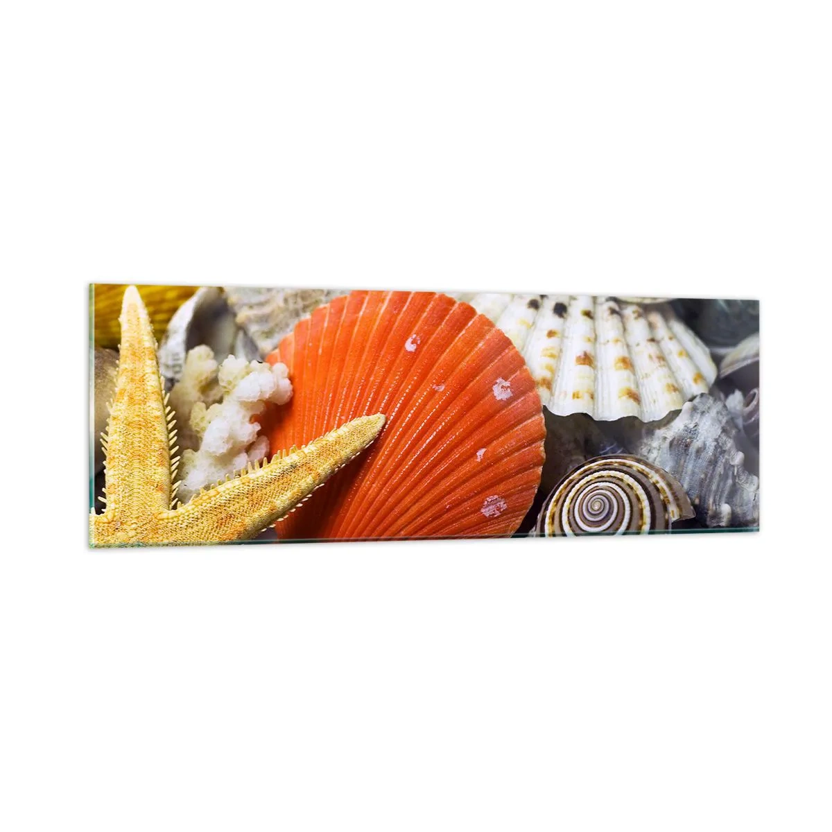 Billede på glas - Havets skatte - 90x30 cm