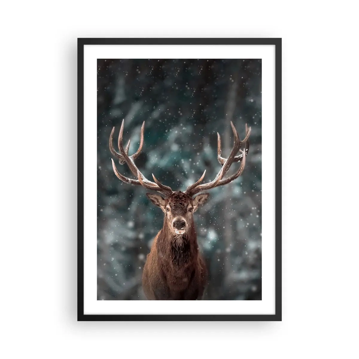 Plakat i sort ramme - Portræt af en hjort med imponerende gevirer mod en vinterskov som baggrund - 50x70cm - Skovens konge kronet - Moderne vægdekoration til stue og soveværelse ARTTOR