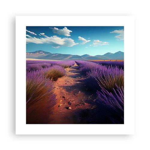 Plakat - Duftende marker - 40x40 cm