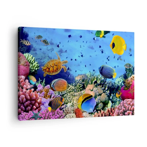 Lærredstryk - Billede på lærred - Koralrev med farverige fisk og en havskildpadde - 70x50cm - Og hvad ved vi om livet... - Moderne vægdekoration til stue og soveværelse ARTTOR