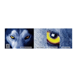 Prøve Fototapet Premium Canvas - Et hypnotiserende udseende - Dyr, Ulv, Øjne - 100x30 cm