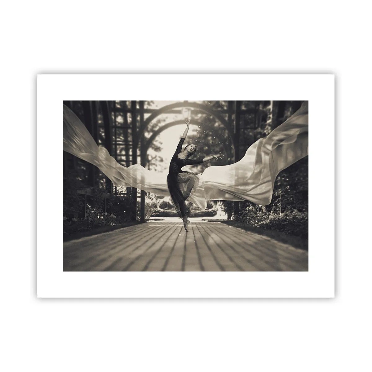 Plakat - Dans i haven - 40x30 cm
