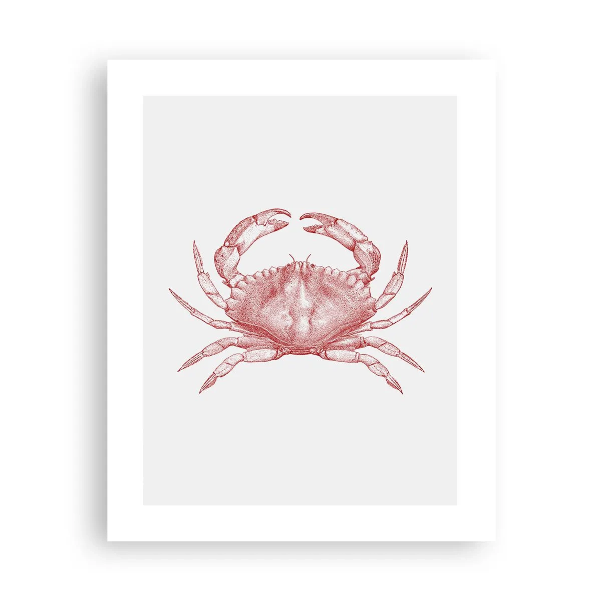 Plakat - Krabbe over krabber - 40x50 cm