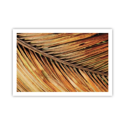 Plakat - Kokosnød guld - 91x61 cm
