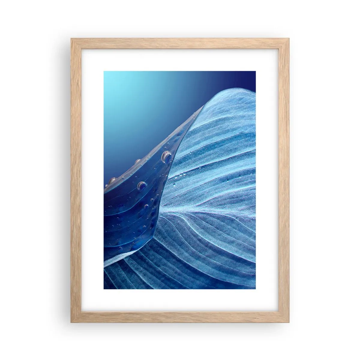 Plakat i ramme af lyst egetræ - Skjulte dråber af blåt - 30x40 cm