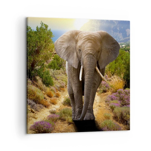 Lærredstryk - Billede på lærred - Sådan så Eden ud - 50x50 cm