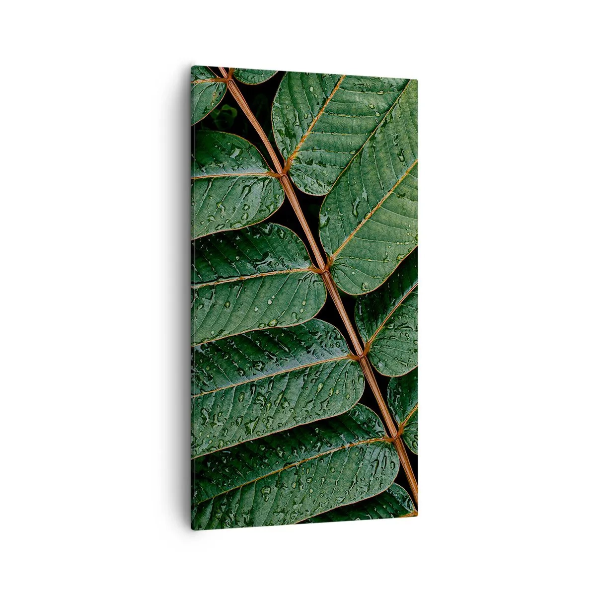 Lærredstryk - Billede på lærred - I en grøn rytme - 55x100 cm