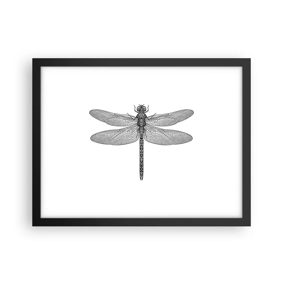 Plakat i sort ramme - Præcision i naturen - 40x30 cm