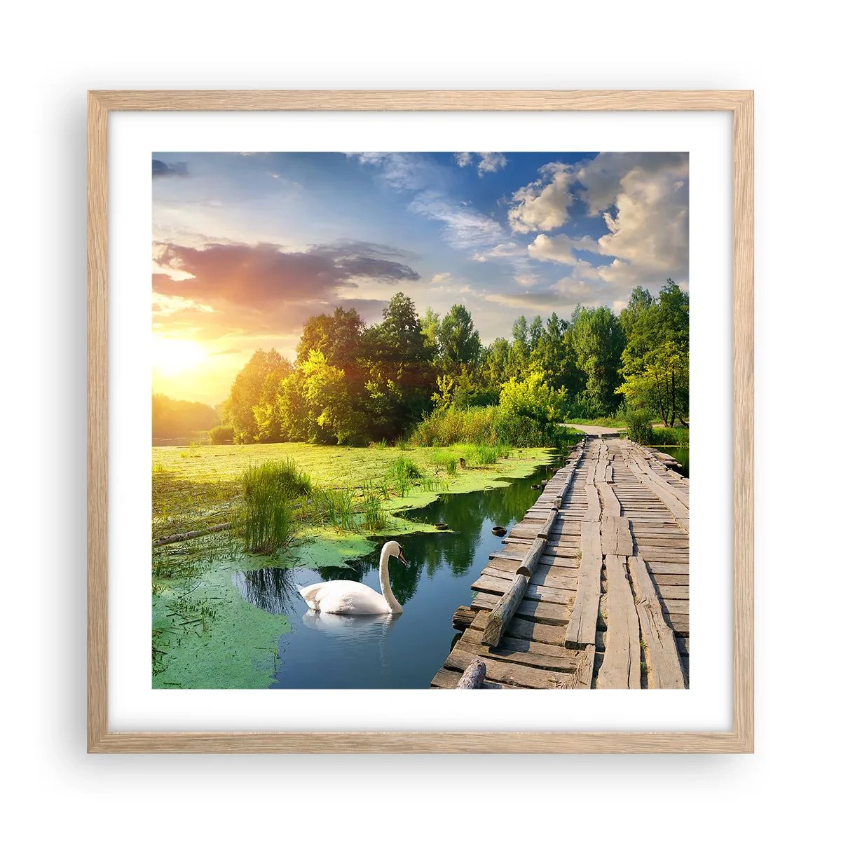 Plakat i ramme af lyst egetræ - Sommer, sommer overalt - 50x50 cm