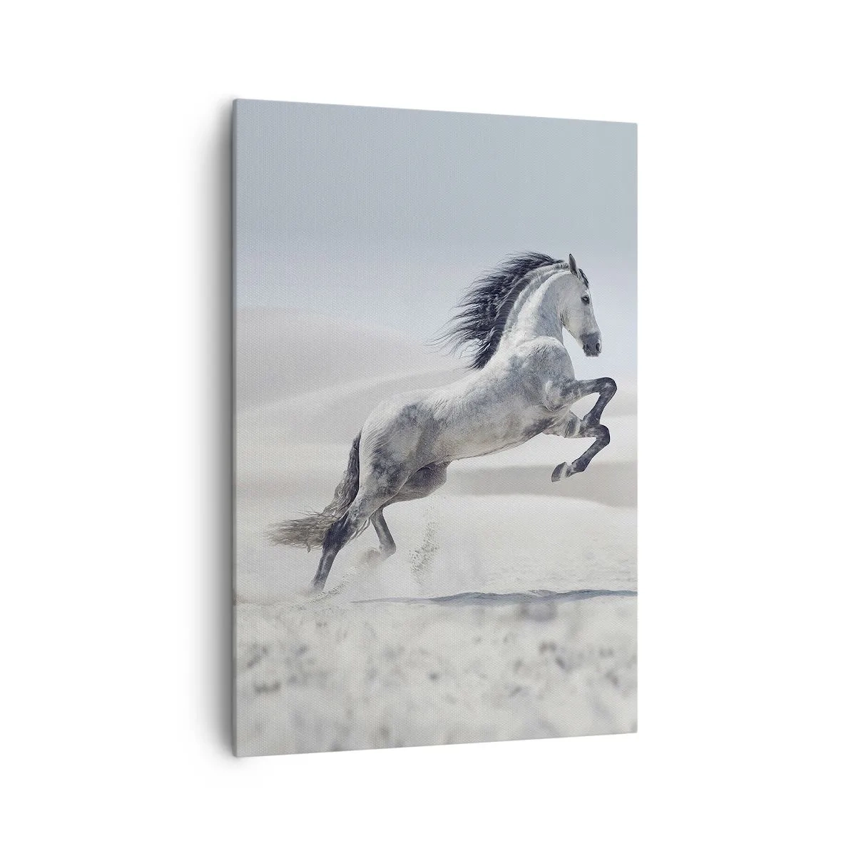 Lærredstryk - Billede på lærred - Arabisk prins - 70x100 cm