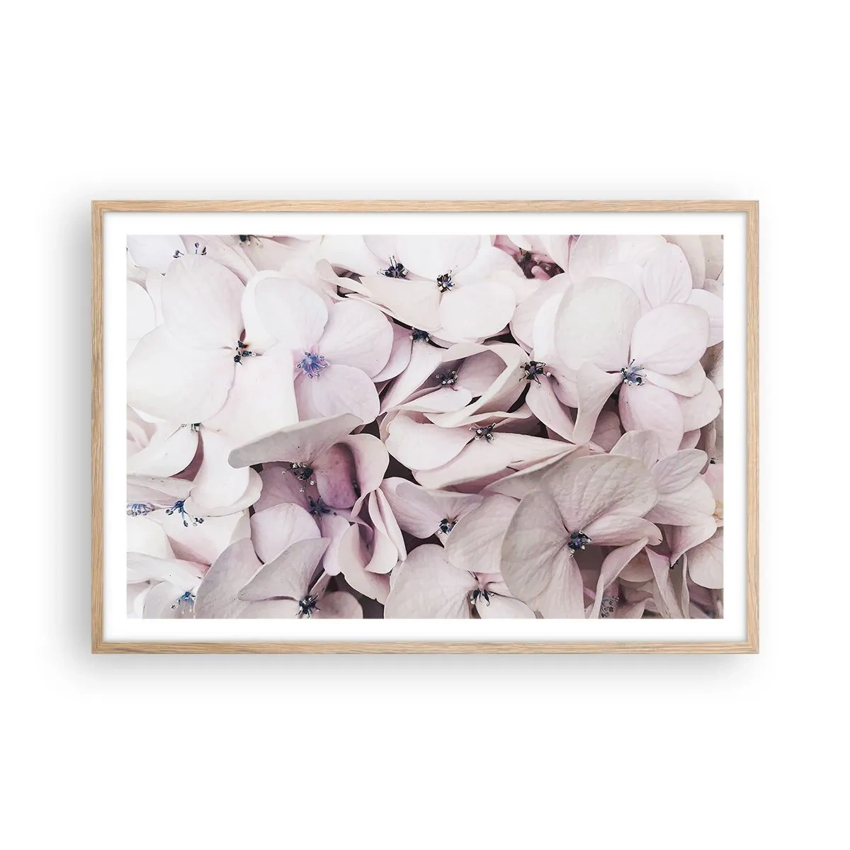 Plakat i ramme af lyst egetræ - I en flod af blomster - 91x61 cm