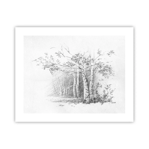 Plakat - Lyset fra birkeskoven - 50x40 cm