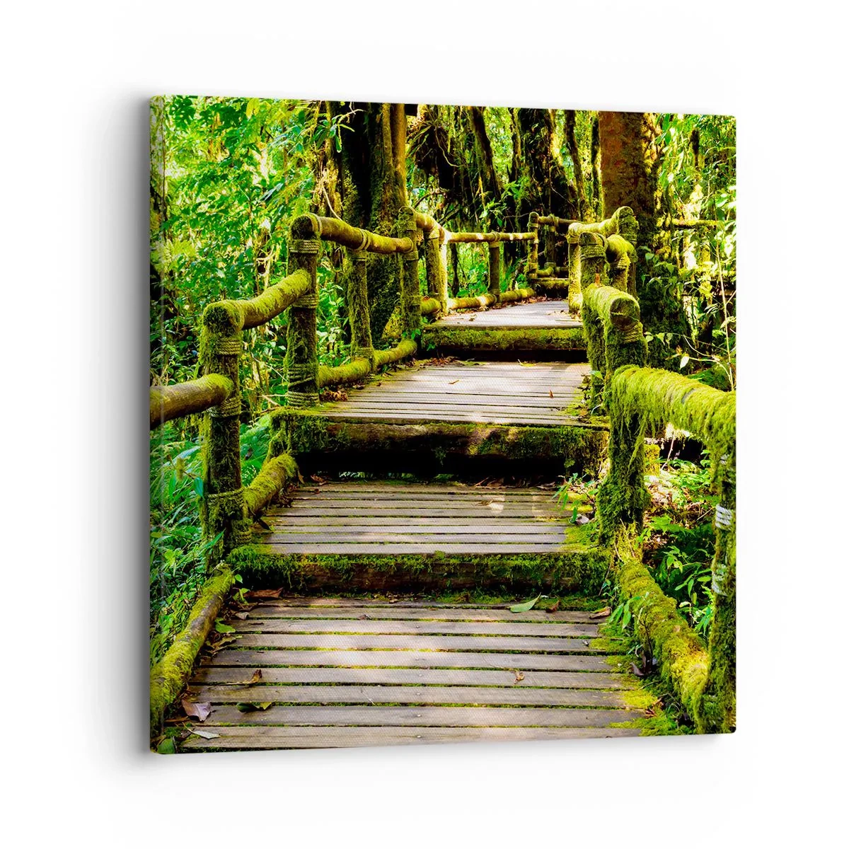 Lærredstryk - Billede på lærred - En korridor af grønt - 30x30 cm