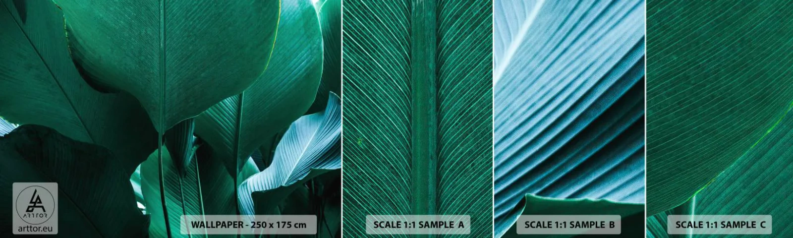 Prøve Fototapet Selvklæbende Deluxe Sticker - Mod lyset - Bananblad, Banantræ, Plante - 100x30 cm