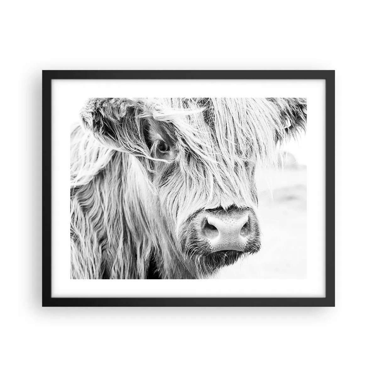 Plakat i sort ramme - Skotsk vildmark - 50x40 cm