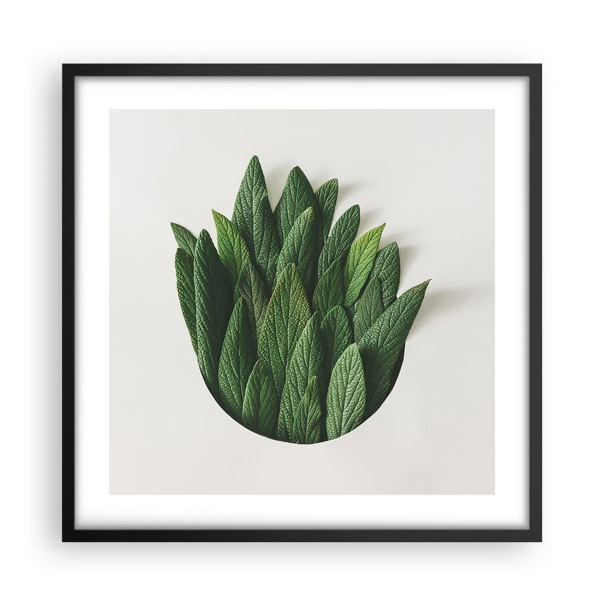 Plakat i sort ramme - Uhæmmet nysgerrighed - 50x50 cm