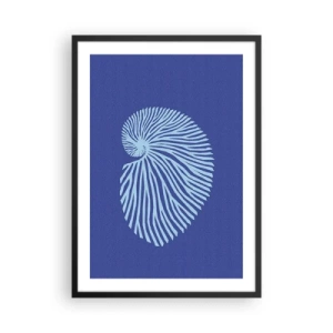 Plakat i sort ramme - Stiliseret skalgrafik i et spiralarrangement - 50x70cm - Fødsel af en skal - Moderne vægdekoration til stue og soveværelse ARTTOR
